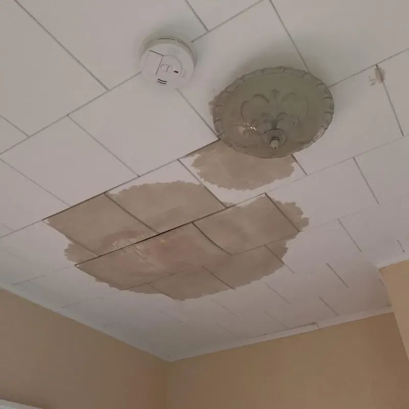 Ceiling Water Damage Repair in Glenrock, WY