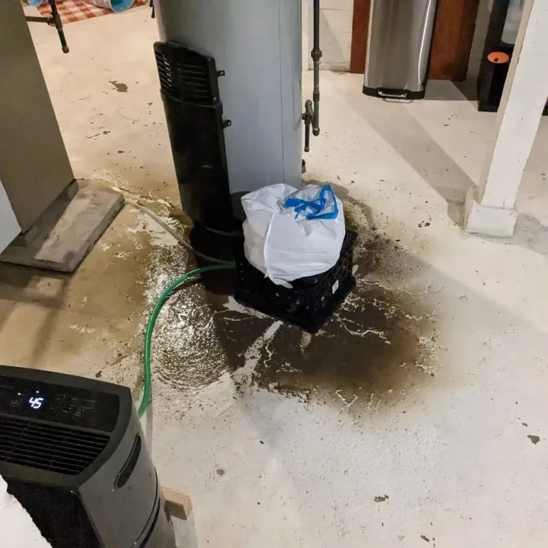 Sewage Backup Cleanup Service in Glenrock, WY